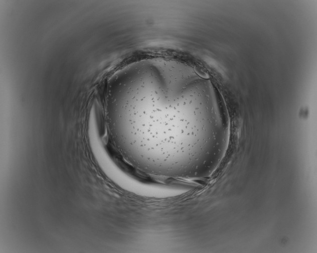 X0000090900965200708201714