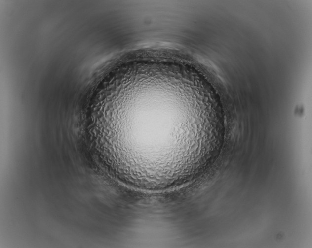 X0000090900966200708201714