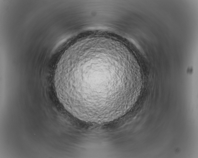 X0000090900967200708201714