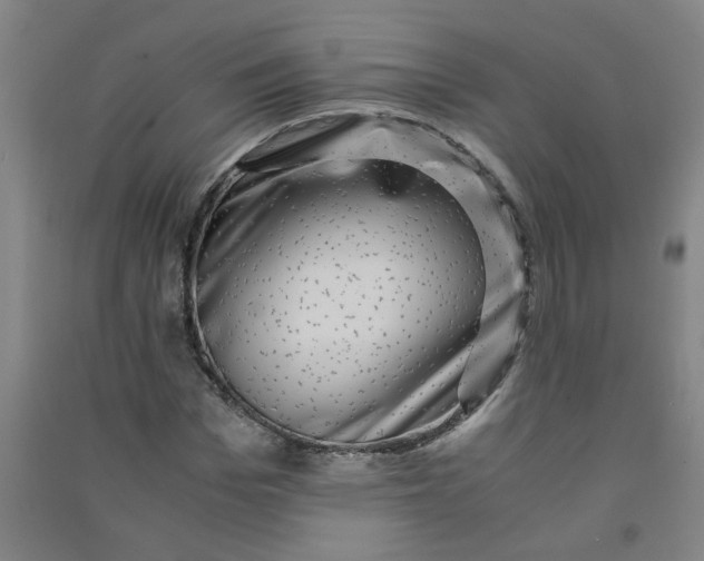 X0000090900969200708201714