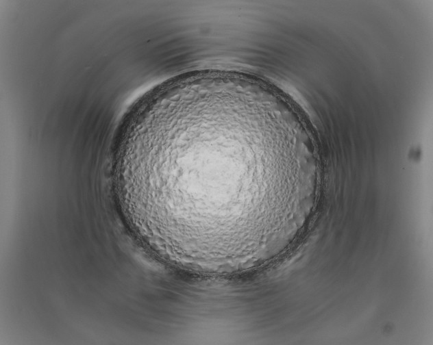 X0000090900971200708201714