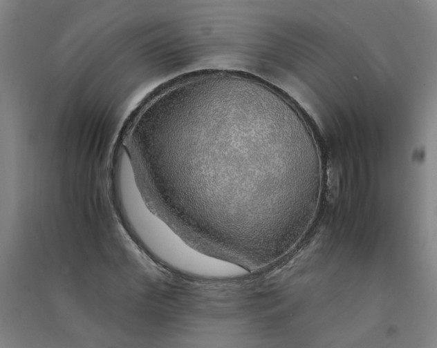 X0000090900972200708201714