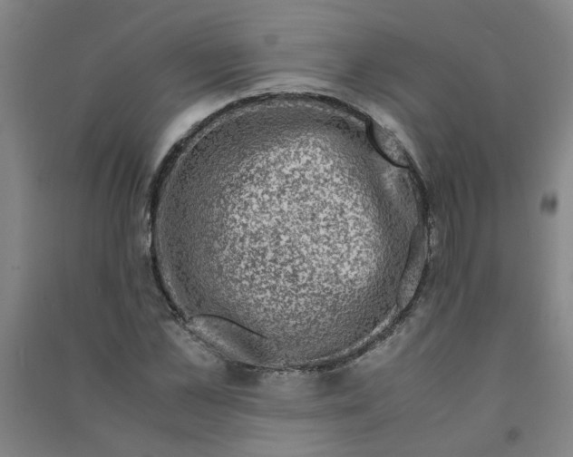 X0000090900973200708201714