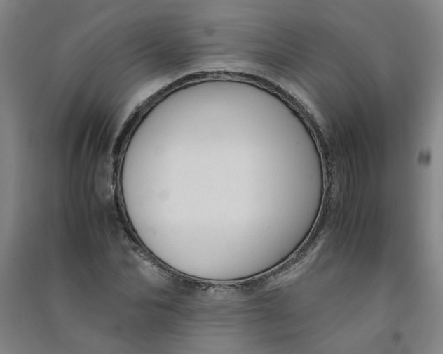 X0000090900974200708201714