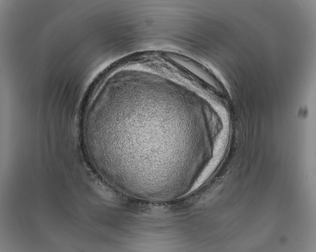 X0000090900975200708201714