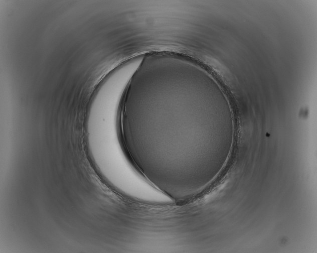 X0000090900977200708201714