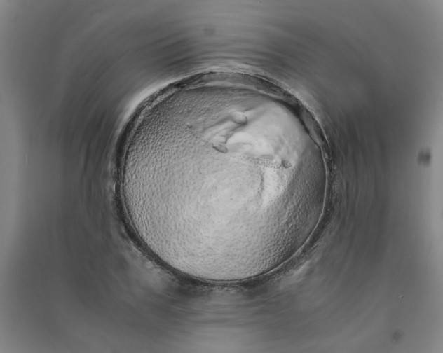 X0000090900979200708201714