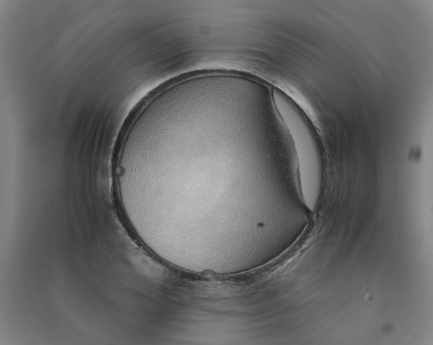 X0000090900980200708201714