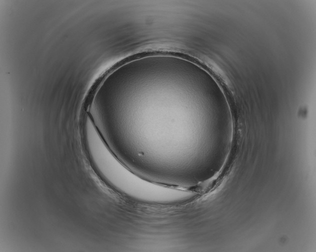 X0000090900981200708201714