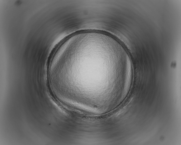 X0000090900982200708201714