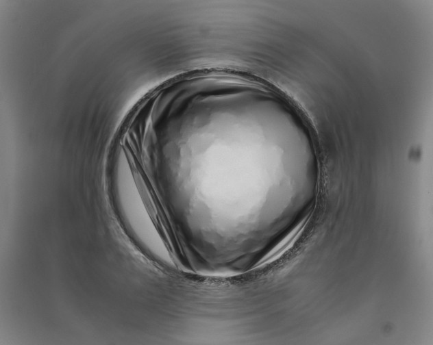 X0000090900983200708201714