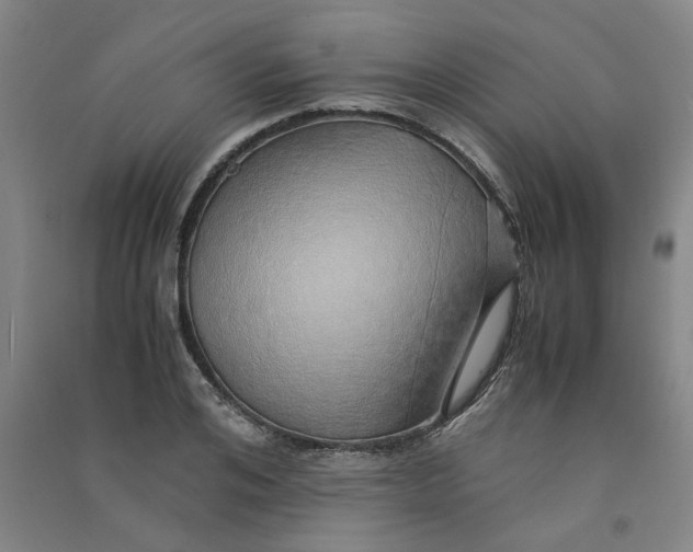 X0000090900984200708201714