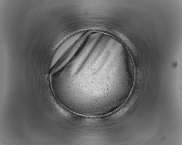 X0000090900985200708201714