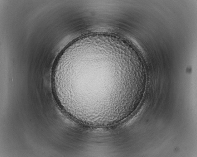 X0000090900986200708201714