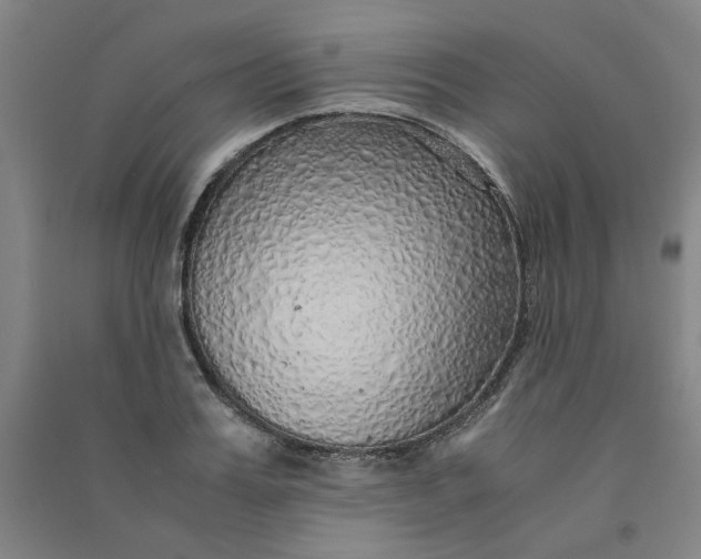 X0000090900987200708201714