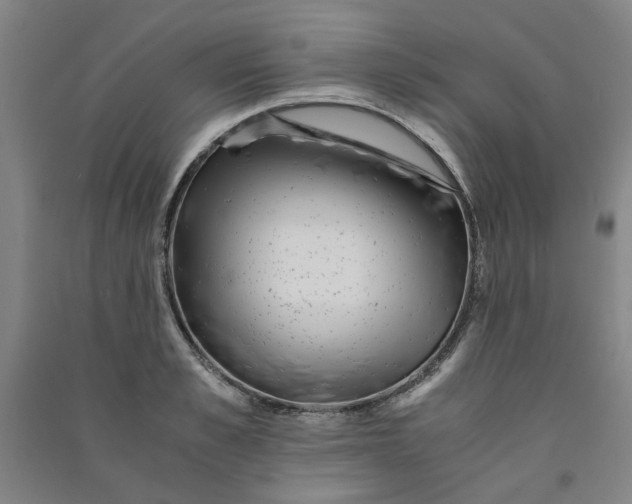 X0000090900989200708201714