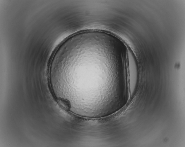 X0000090900990200708201714