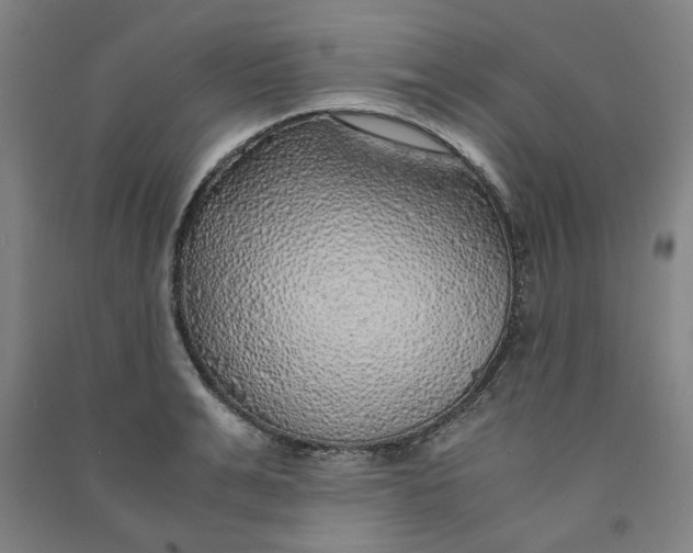 X0000090900991200708201714