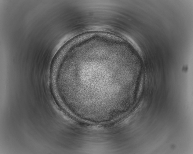 X0000090900994200708201714