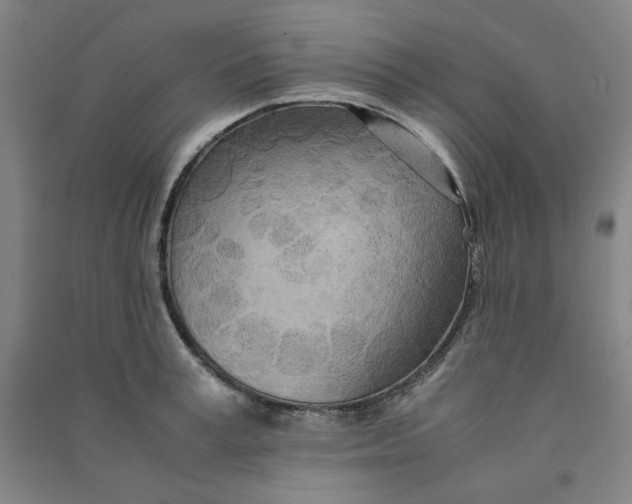 X0000090900995200708201714