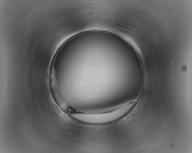 X0000090900996200708201714