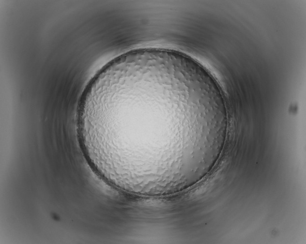 X0000090900998200708201714