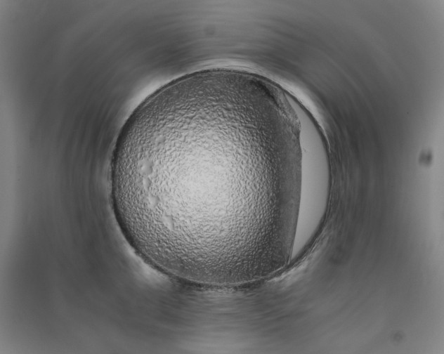 X0000090900999200708201714