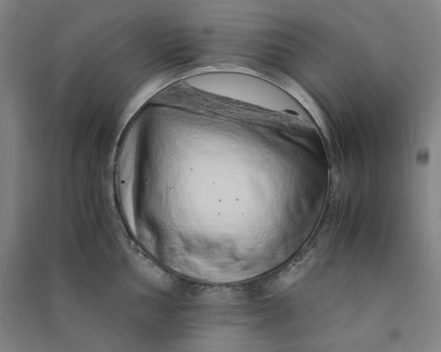 X0000090901002200708201714