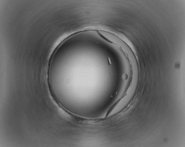 X0000090901005200708201713