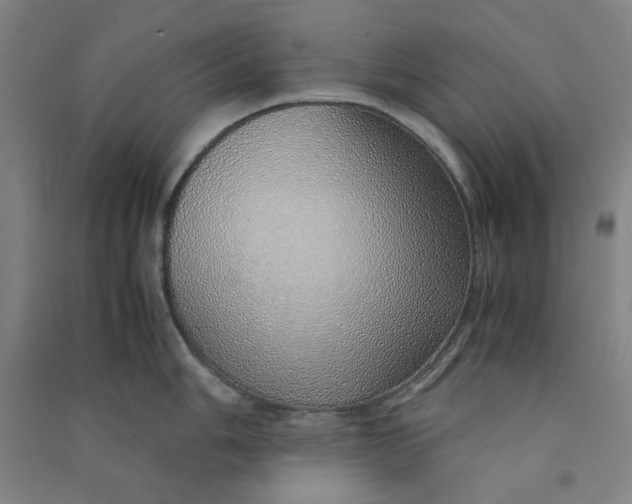 X0000090901006200708201713