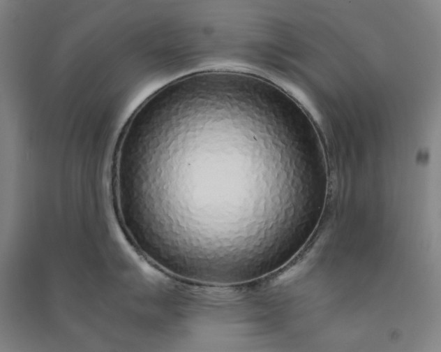 X0000090901007200708201713