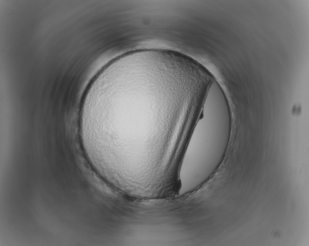 X0000090901008200708201713