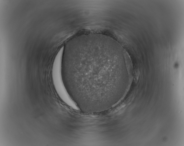 X0000090901010200708201713