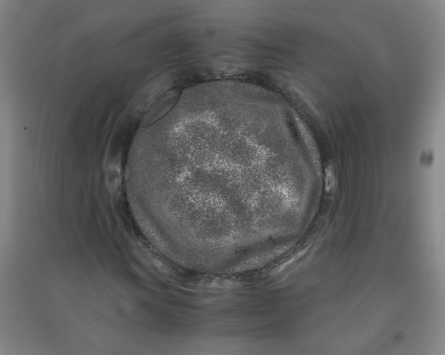 X0000090901011200708201713