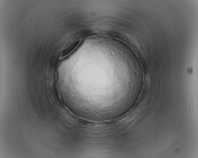 X0000090901012200708201713