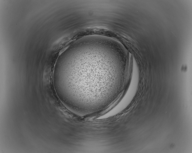 X0000090901014200708201713