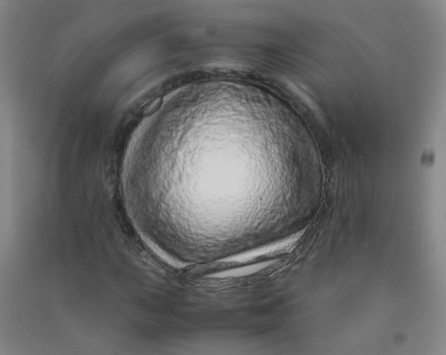 X0000090901015200708201713