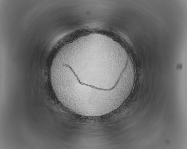 X0000090901016200708201713