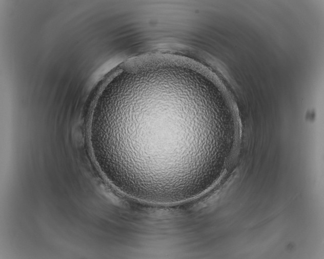 X0000090901018200708201713