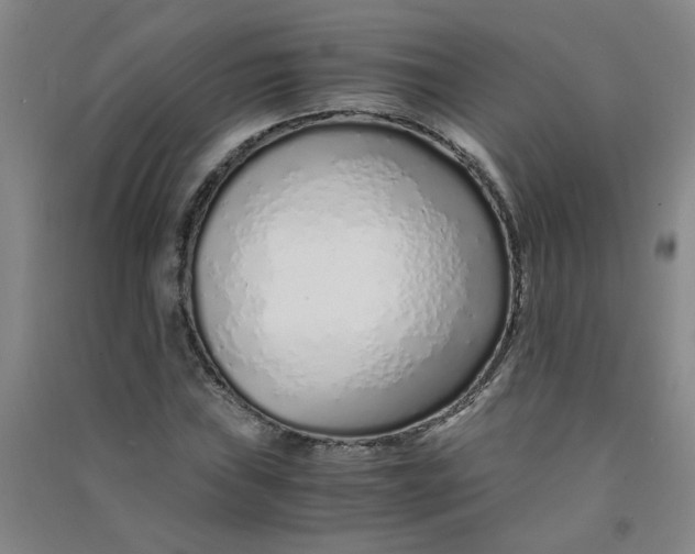 X0000090901019200708201713