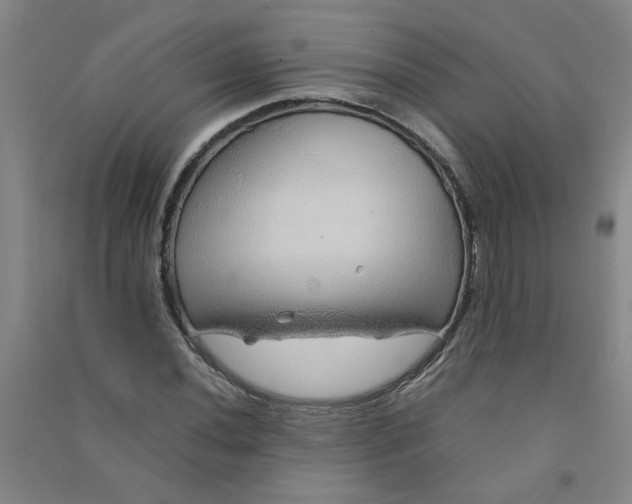 X0000090901020200708201713