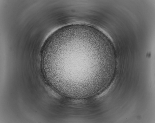 X0000090901021200708201713