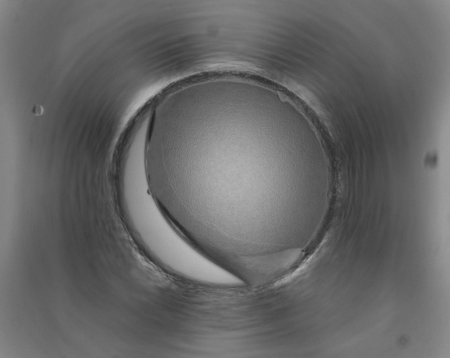 X0000090901022200708201713