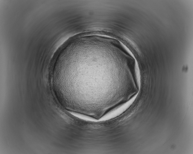 X0000090901023200708201713