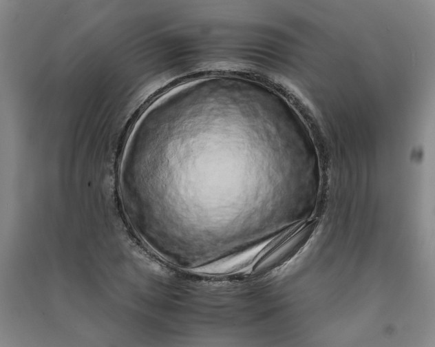 X0000090901025200708201713