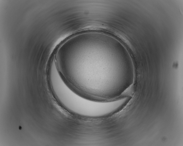 X0000090901026200708201713