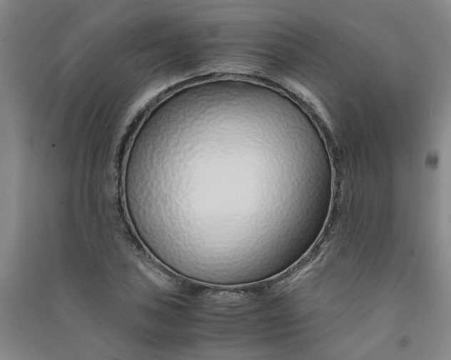 X0000090901027200708201713