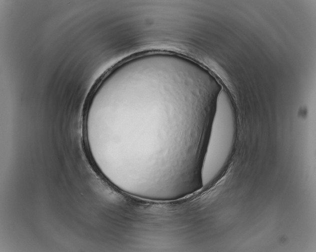 X0000090901028200708201713