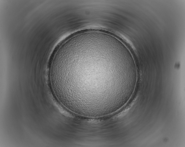 X0000090901029200708201713