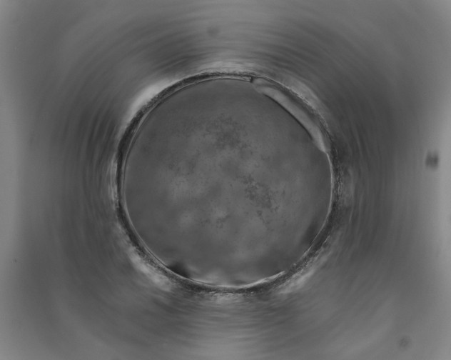 X0000090901030200708201713